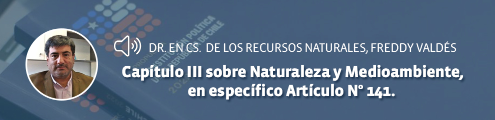 Doctor en Ciencias de los Recursos Naturales, Freddy Valdés Garcés: Capítulo III sobre Naturaleza y Medioambiente, en específico Artículo N° 141. 