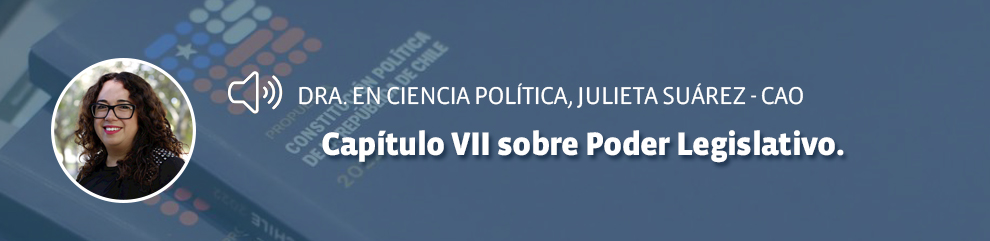Dra. en Ciencia Política, Julieta Suárez – Cao: Capítulo VII sobre Poder Legislativo.