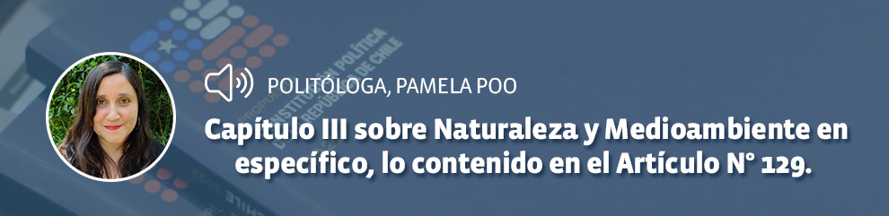 Politóloga, Pamela Poo: Capítulo III sobre Naturaleza y Medioambiente en específico, lo contenido en el Artículo N° 129. 